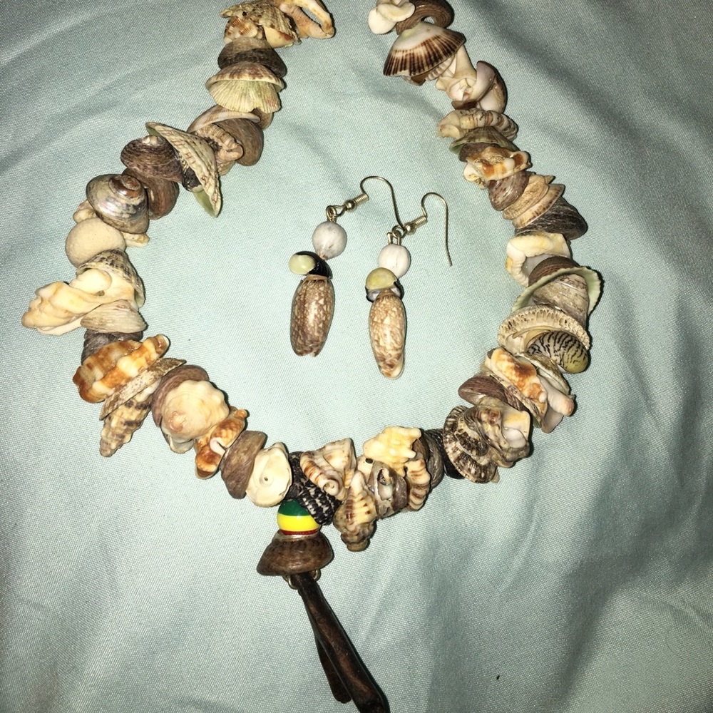 Shell set  from of St. Lucia Caribbean islands